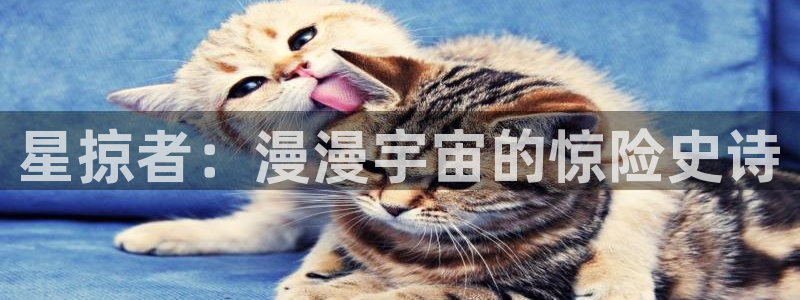 羞羞漫画免费版：星掠者：漫漫宇宙的惊险史诗